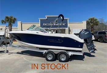 2025 Robalo R207 Biscayne Blue Boat